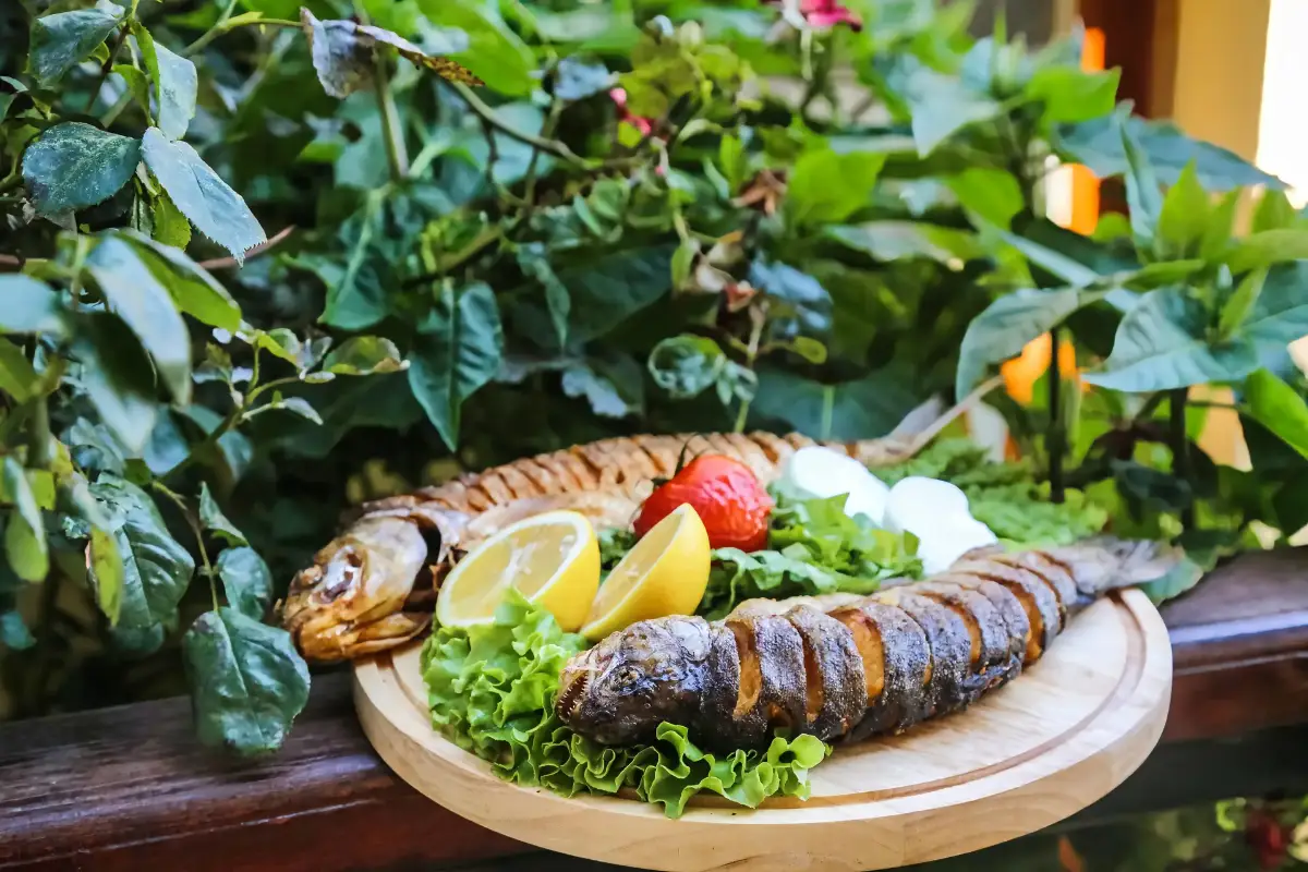 Gastronomy on the Montenegrin Coast – Flavors You Must Try